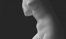 Etiam commodo convallis